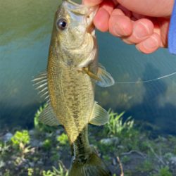 今年初50アップ！