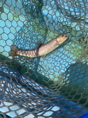 栃木市総合運動公園フィッシングフィールド