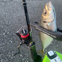 Newタックル入魂釣行♪