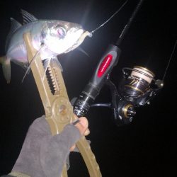 アジング練習　282　21カルディアFC LT1000S