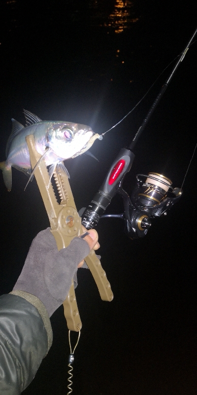 アジング練習 282 21カルディアFC …