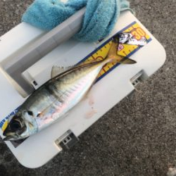 今日も仕事ですが…