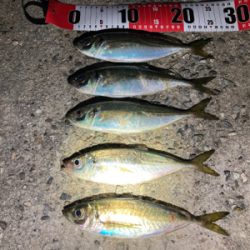 怒涛の極短ジアイ