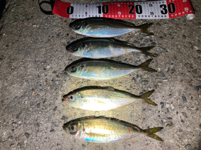 怒涛の極短ジアイ