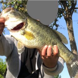 スモラバのカバー撃ち