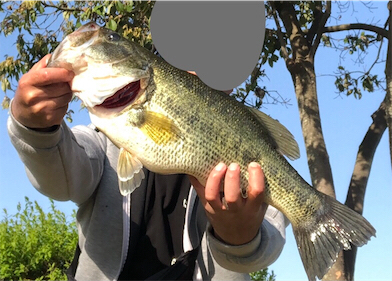 スモラバのカバー撃ち