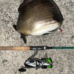 バチ抜けでまさかの‥