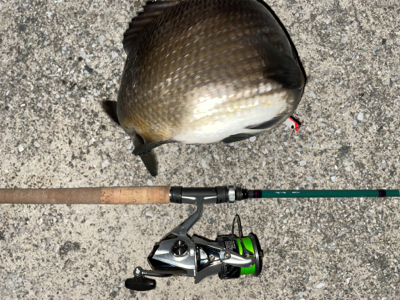 バチ抜けでまさかの‥