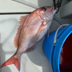 丹後沖タイラバ&ジギング