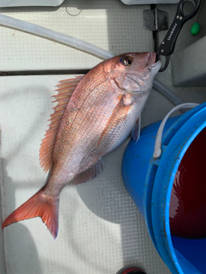 丹後沖タイラバ&ジギング