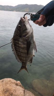 尾道周辺でまったりフカセ