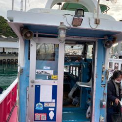 春イカティップラン