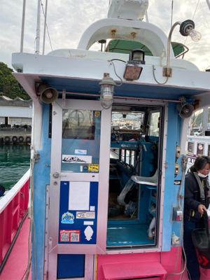 春イカティップラン