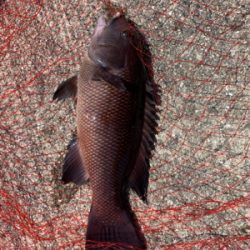 本命とは出会えず…