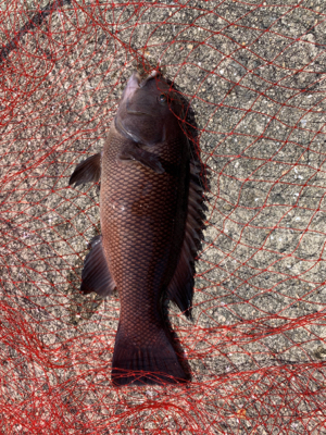 本命とは出会えず…