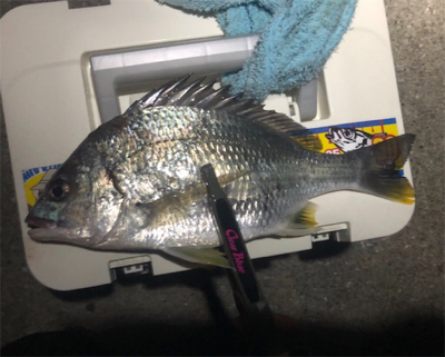 めっちゃ久々ツヌケたよ