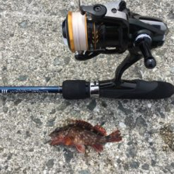 天気は良いけど…