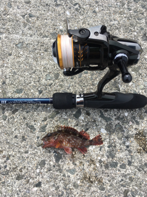 天気は良いけど…