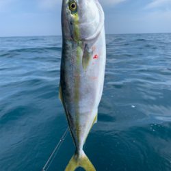 マイボートでアコウ狙い