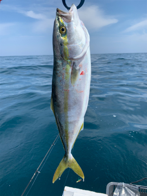 マイボートでアコウ狙い