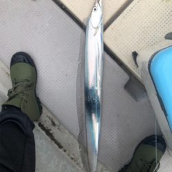 爆風前の短時間釣行