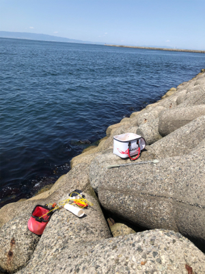 波止からフカセ釣り