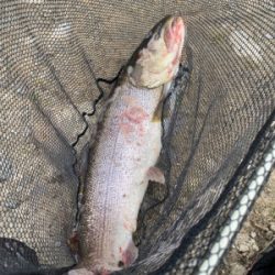 黒保根渓流フィッシング