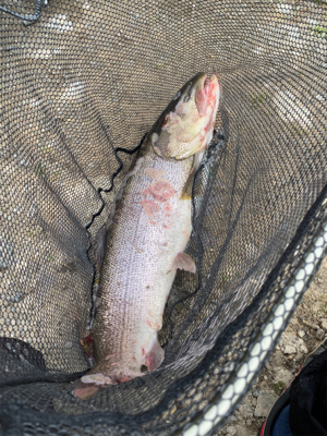 黒保根渓流フィッシング