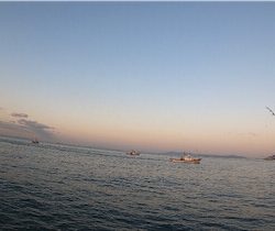 エソ　和田防新波止