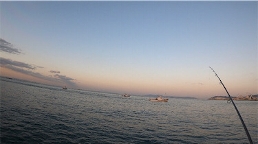 エソ　和田防新波止