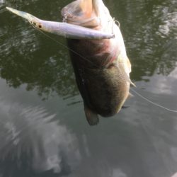 懐かしのロングビルミノー