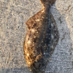 一瞬のチャンス