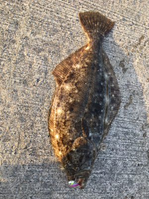 一瞬のチャンス