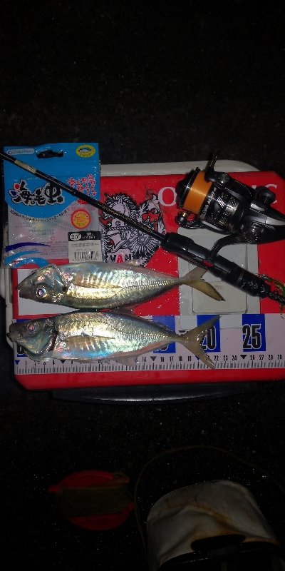 アジング練習　287　