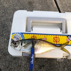 ベスポジ入れず