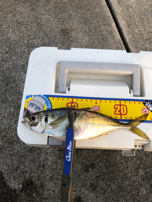 ベスポジ入れず