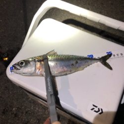 Newタックル釣行!