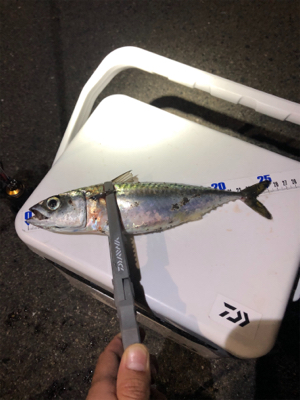 Newタックル釣行!