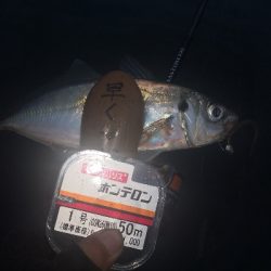 アジング練習　288　ゴーセン　ホンテロンエステルリーダー