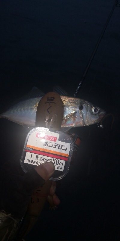 アジング練習　288　ゴーセン　ホンテロンエステルリーダー