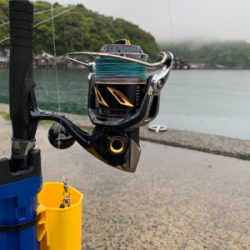 激シブジギング