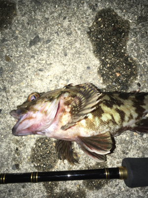 タイミングが合わない(*´Д｀*)