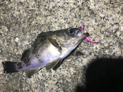 フロートメバリング