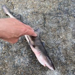 ここしか空いてなくて！