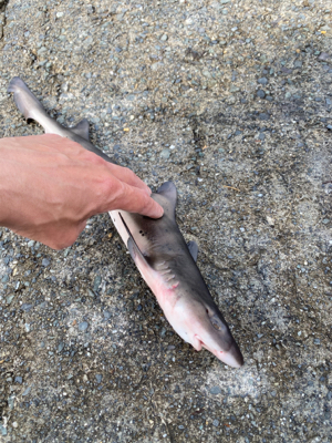 ここしか空いてなくて！