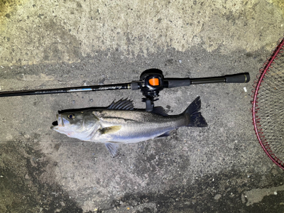 バチ抜けパターンガン無視