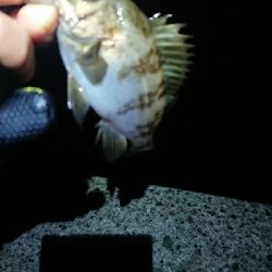 同ポイントにて