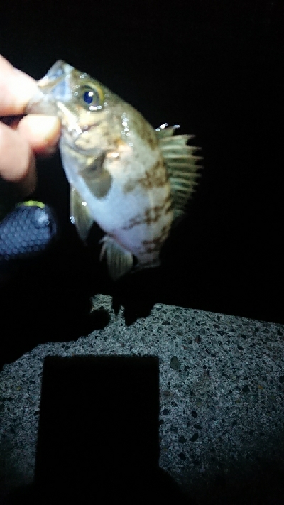 同ポイントにて