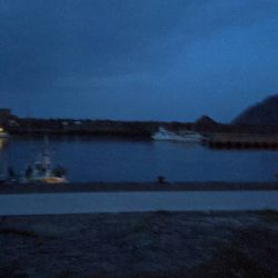 ほんまなんなん!