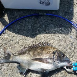 テトラ釣りにまた挑戦！